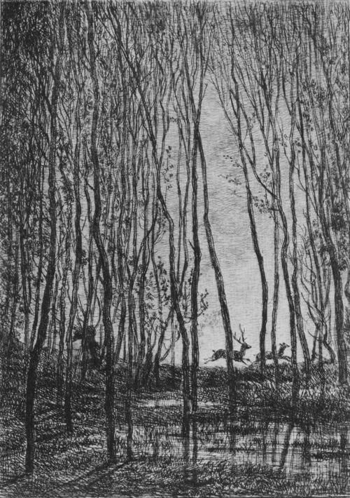 Daubigny, Charles-Franois: Hirsche im Wald