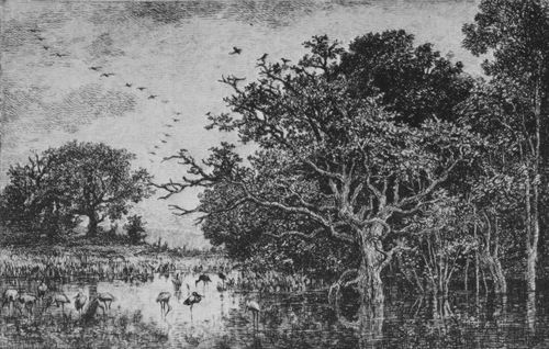 Daubigny, Charles-Franois: Der Sumpf (mit Strchen)
