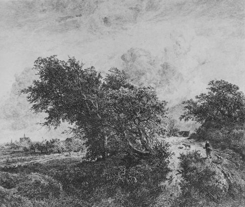 Daubigny, Charles-Franois: Das Gebsch (Nach J. Ruysdael)