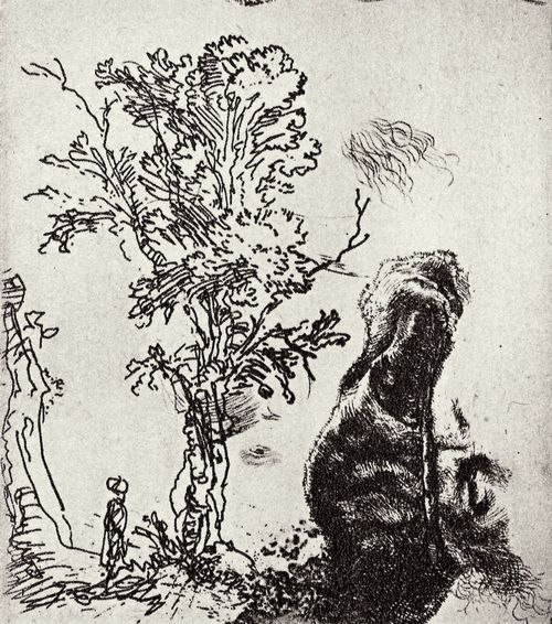Rembrandt Harmensz. van Rijn: Studienblatt mit einem Baum und einem mnnlichen Portrt