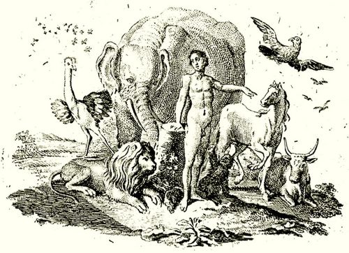 Chodowiecki, Daniel Nikolaus: »Bffon's Naturgeschichte. Erster Theil«, Illustration