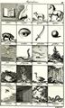 Chodowiecki, Daniel Nikolaus: Illustration zu J. M. F. Schulze's »Elementarbuch der lateinischen Sprache«