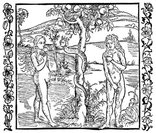 Drer, Albrecht: Illustration zum »Der Ritter vom Turn«, Szene: Eva it den Apfel