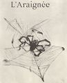 Toulouse-Lautrec, Henri de: Illustration zu Jules Renards »Histoires naturelles«, Die Spinne
