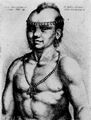 Hollar, Wenzel: Portrt eines Indianers aus Virginia