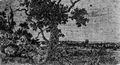 Seghers, Hercules Pietersz.: Alter Eichenbaum mit Ausblick in die Ferne