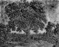 Seghers, Hercules Pietersz.: Der groe Baum