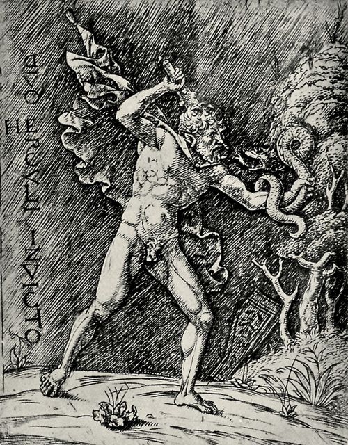 Mantegna, Andrea (Schule): Herkules und die Hydra