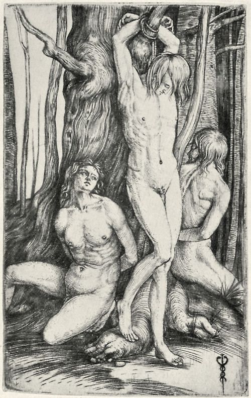 Barbari, Jacopo de': Drei nackte Mnner an einem Baum gefesselt