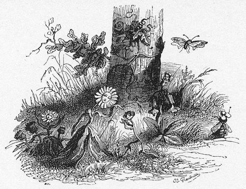 Grandville: Bilder aus dem Staats- und Familienleben der Tiere: Abenteuer eines Schmetterlings, erzhlt von seiner Erzieherin, 3. Szene