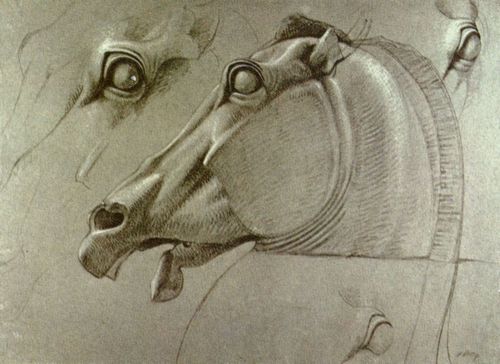 Haydon, Benjamin Robert: Kopf des Pferdes der Selene