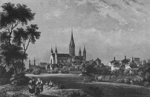Tanner, Johann Jakob: Bonn, Ansicht mit Mnster und Jesuitenkirche von Sdwesten