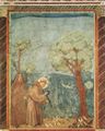 Giotto di Bondone: Fresken in der Kirche San Francesco in Assisi, Szene: Die Vogelpredigt