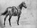 Werner, Anton von: Pferd Bismarcks