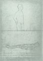 Modigliani, Amedeo: Akt [2]