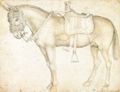 Pisanello: Gezäumter und gesattelter Maultierhengst