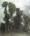 Constable, John: Bäume in Hampstead