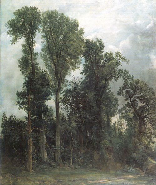 Constable, John: Bume in Hampstead