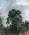 Constable, John: Studie von Bäumen mit »Grove« oder dem Grove Haus in der Ferne