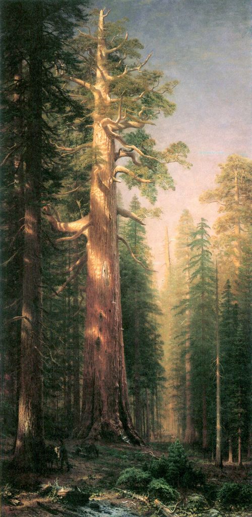 Bierstadt, Albert: Die Groen Bume, Mariposa Grove, Kalifornien