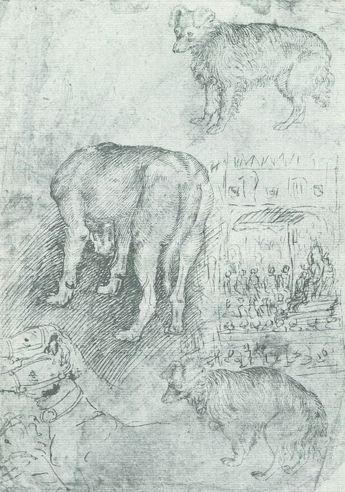 Pisanello: Hundestudien und die Kpfe zweier Windhunde