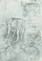 Pisanello: Hundestudien und die Köpfe zweier Windhunde