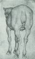 Pisanello: Pferd mit hochgebundenem Schweif von hinten