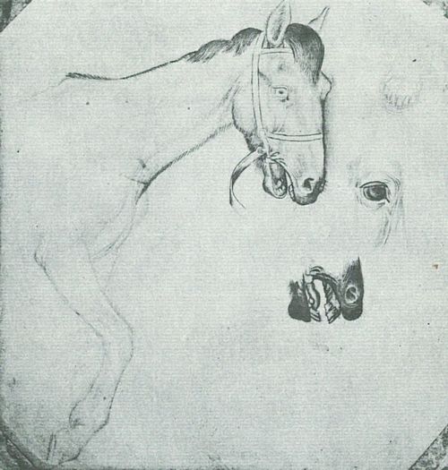 Pisanello: Vorderteil eines Pferdes, zwei Studien des Mundes und eine vom Auge