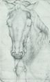 Pisanello: Kopf eines Pferdes von vorn, mit hngendem Zaumzeug