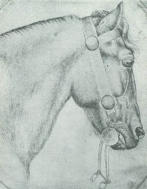 Pisanello: Kopf eines Pferdes von rechts, mit hngenden Zaumzeug