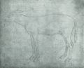 Pisanello: Esel, nach links stehend, Ohren angelegt