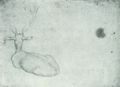 Pisanello: Hirsch vom hinten auf der linken Seite liegend, den Kopf weggedreht