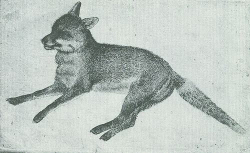 Pisanello: Liegender Fuchs