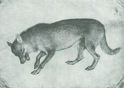 Pisanello: Stehender Fuchs