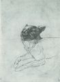 Pisanello: Wolf oder ein wilder Hund von vorn