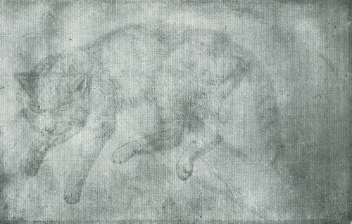 Pisanello: Liegende Katze