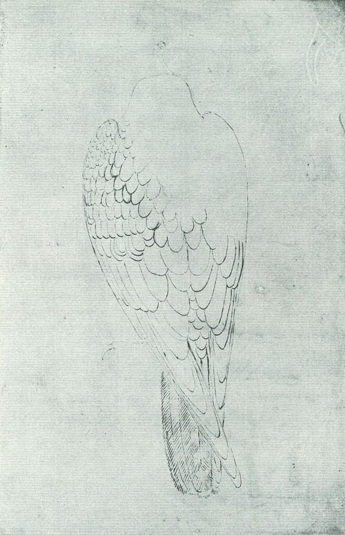 Pisanello: Falke von hinten