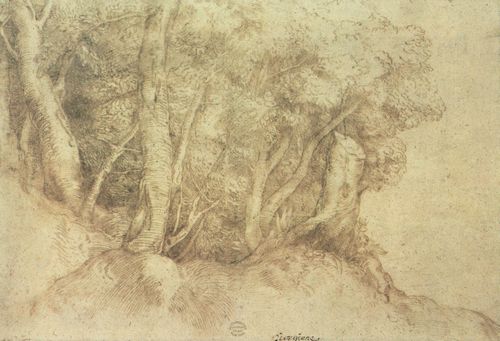 Tizian: Landschaft mit Baumgruppe