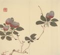 Unbekannte chinesische Künstler: Zehnbambushalle: Zweige mit Li-Chih