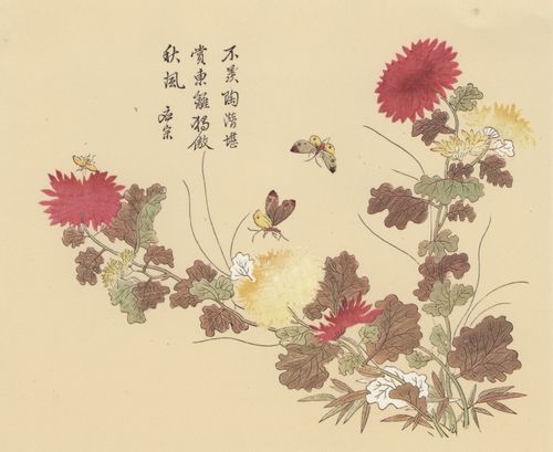 Unbekannte chinesische Knstler: Sloane Collection (Kmpfer-Drucke): Chrysanthemen und Schmetterlinge