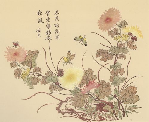 Unbekannte chinesische Knstler: Chrysanthemen und Schmetterlinge