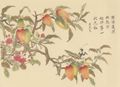 Unbekannte chinesische Künstler: Sloane Collection (Kämpfer-Drucke): Früchte und Gottesanbeterin