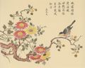 Unbekannte chinesische Künstler: Sloane Collection (Kämpfer-Drucke): Glückwunsch für langes Leben()