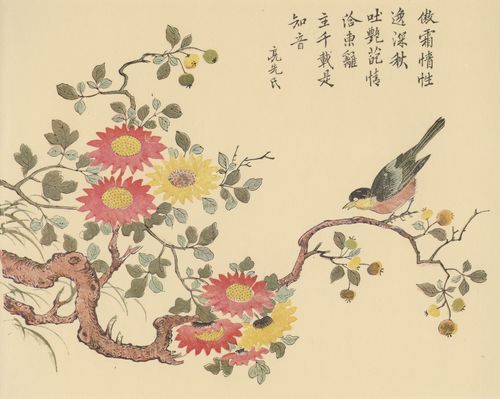 Unbekannte chinesische Knstler: Sloane Collection (Kmpfer-Drucke): Glckwunsch fr langes Leben()
