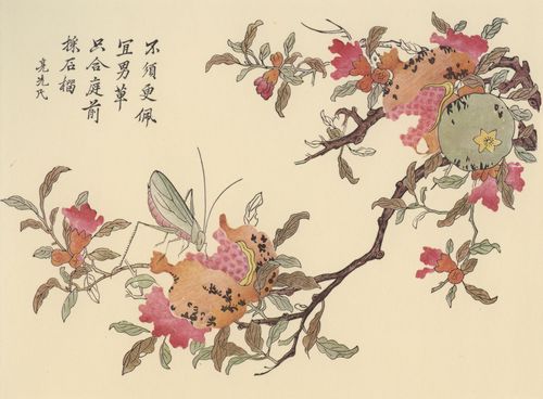 Unbekannte chinesische Knstler: Sloane Collection (Kmpfer-Drucke): Glckwunsch zur Geburt