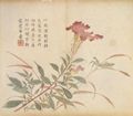 Unbekannte chinesische Künstler: Der Senfkorngarten (Dritter Teil): Hahnenkammfarbiges Tausendschön, Schilf () und Gottesanbeterin