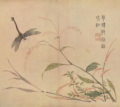 Unbekannte chinesische Knstler: Der Senfkorngarten (Dritter Teil): Wasserjungfer, Grser und Flhkraut (Polygonum Persicaria)