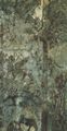 Unbekannte gyptische Knstler: Ausschnitt einer Wandmalerei [5]