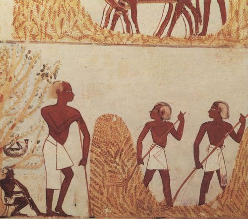 Unbekannte gyptische Knstler: Vor dem Ausstampfen des Getreides