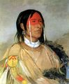 Catlin, George: Gebrochener Arm, Ein Anführer der Plains Cree